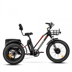 TRIKETAN M-350 Electric Trike - Black