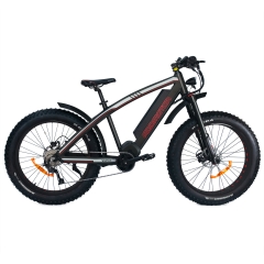 Wildtan M-5600 Mid-Drive Electric Bike 1000W all terrain