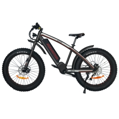 Wildtan M-5600 Mid-Drive Electric Bike 1000W