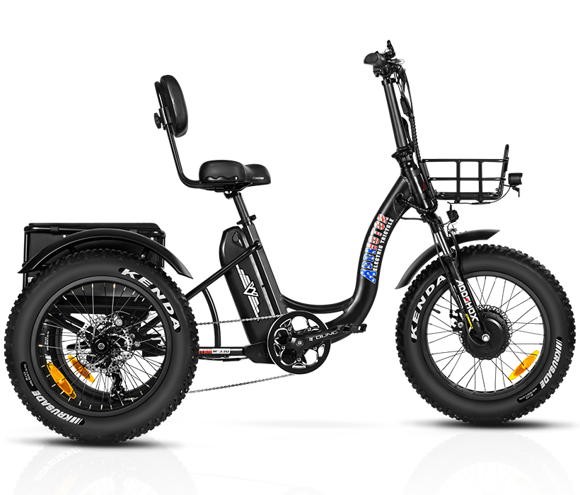 3 Wheel Electric Bike