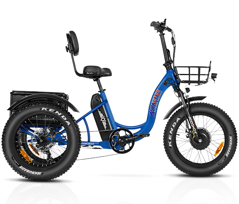 Electric Trike for Sale