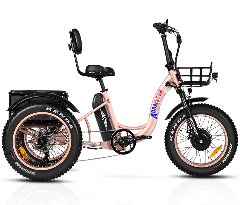 Addmotor Electric Tricycle