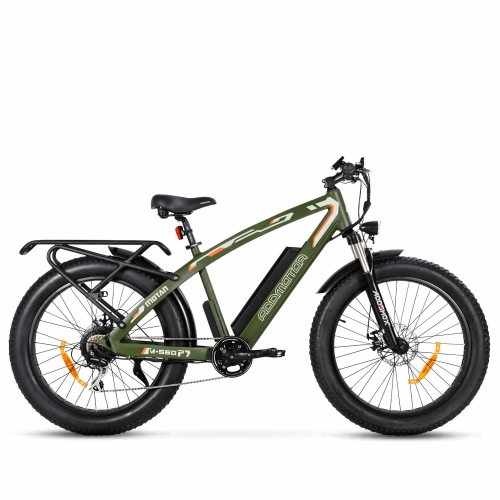 mid-drive electric bike