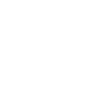 SPYTAN Standard Parking Brake Icon