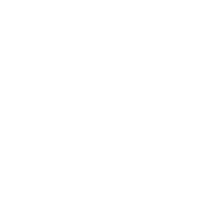 CITYTRI E-310 Standard Rear Differential Icon