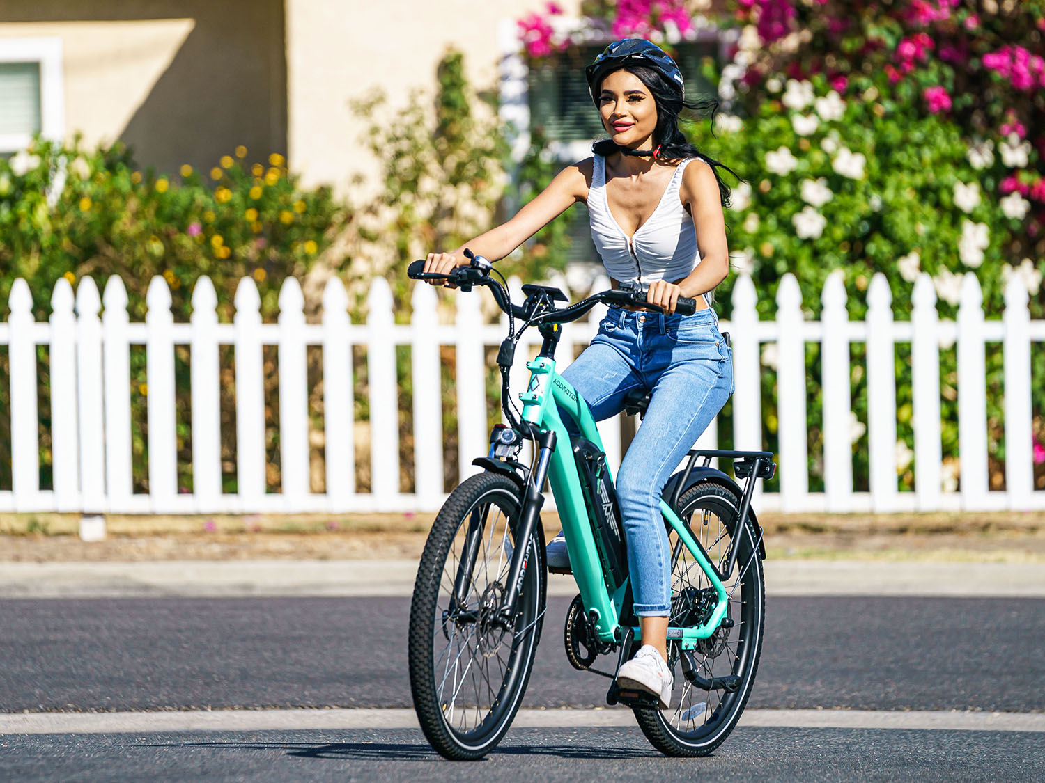 E-43 Electric Bicycle