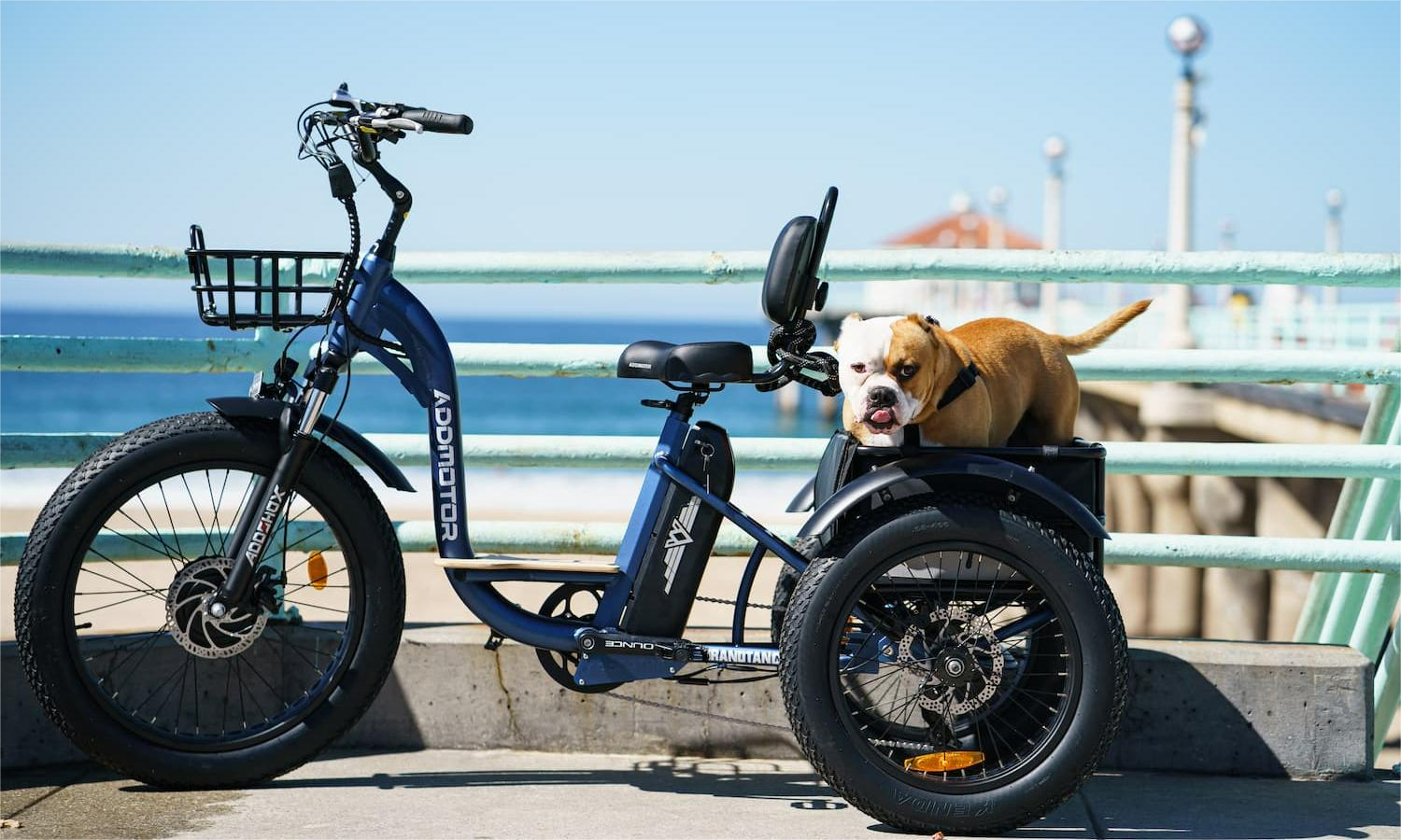 TRIKETAN M-350 Electric Tricycle  Right Cargo Bike for Your Dog