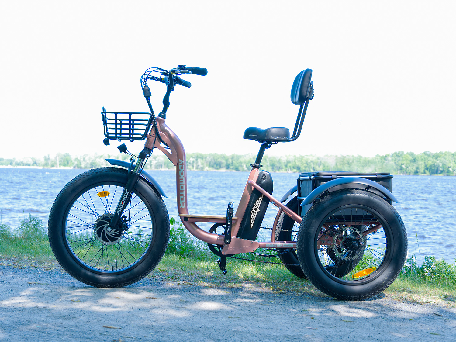 GRANDTAN M-340 Etrike