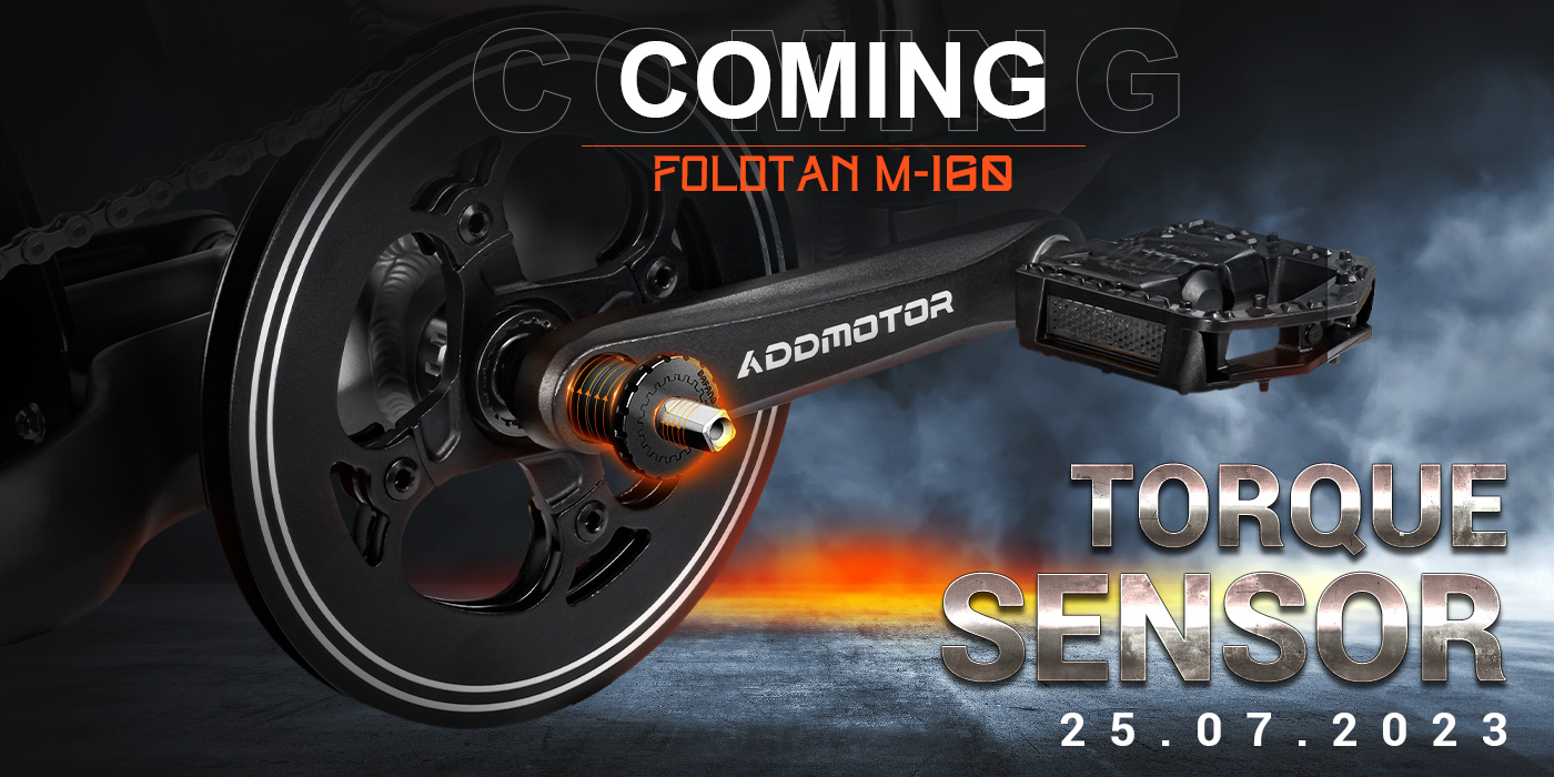 Introducing the Torque Sensor