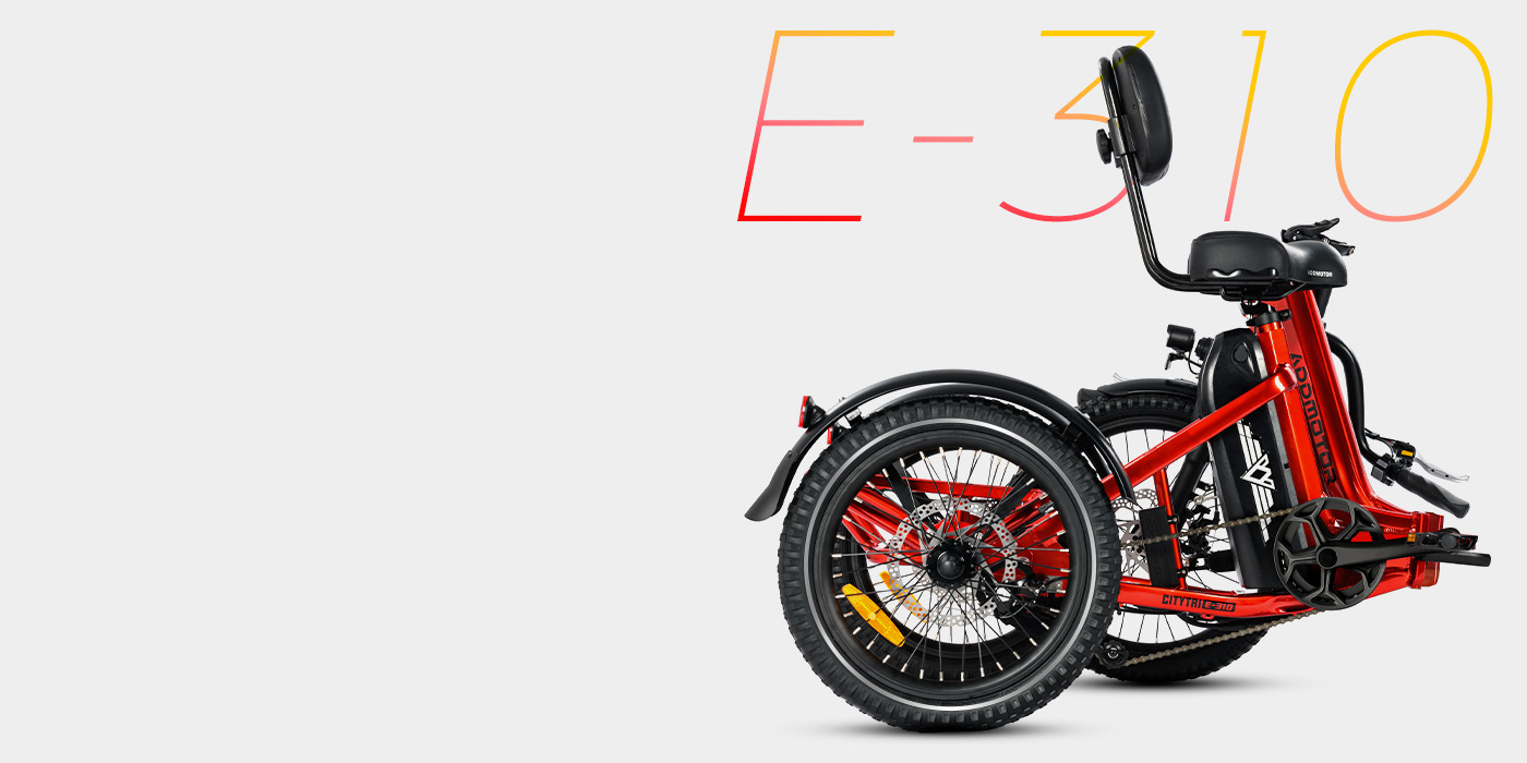 CITYTRI E-310 Standard Folding Frame