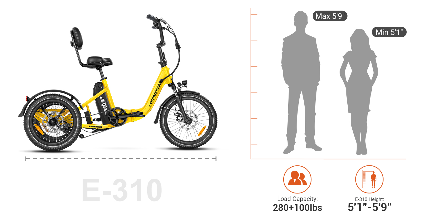 310 size