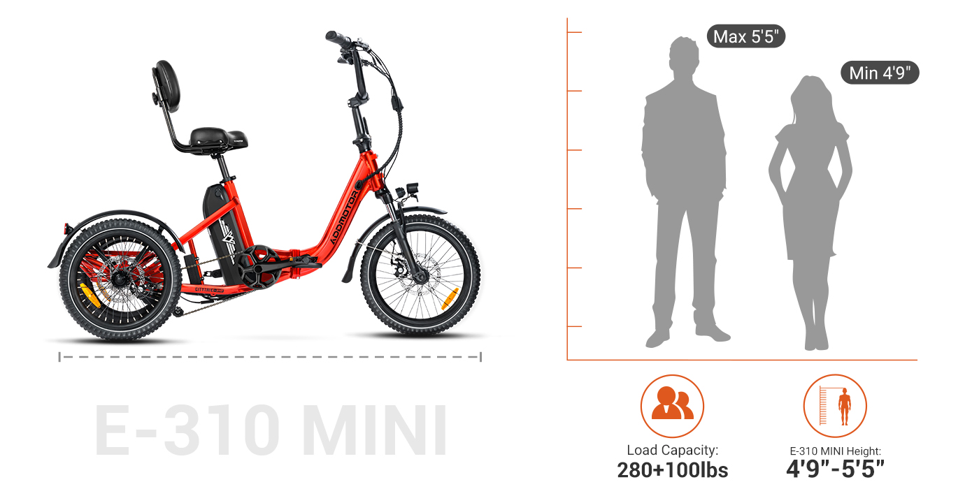 310mini size