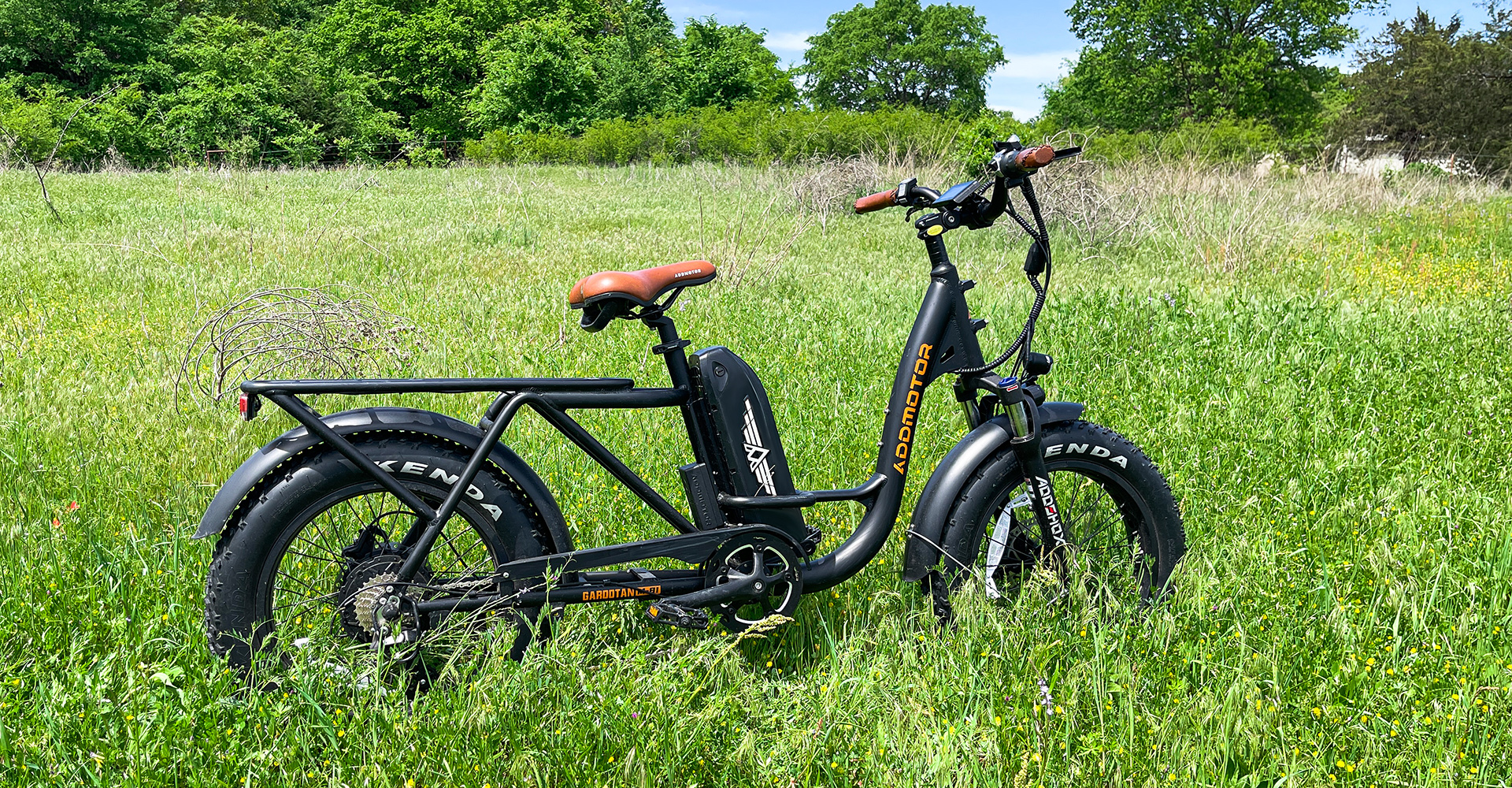 Step-thru Adult Standout Cargo Ebike GAROOTAN