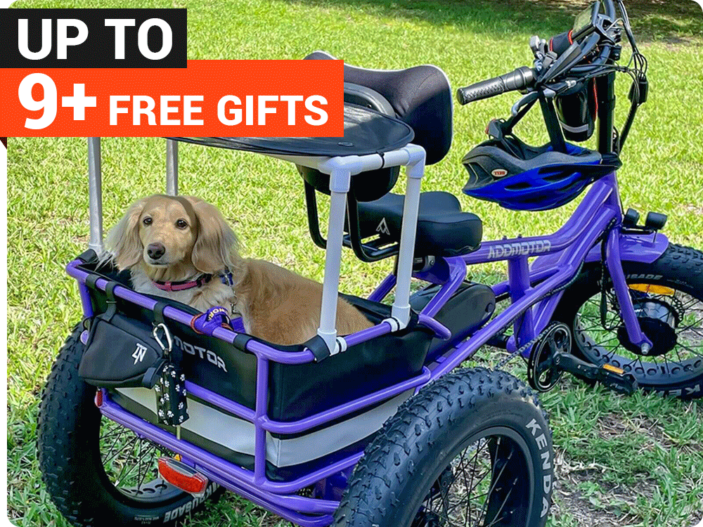 TRIKE