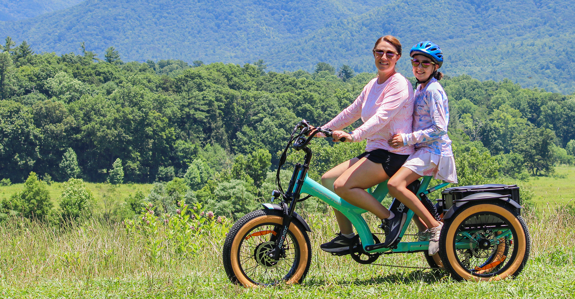 electric trike bike