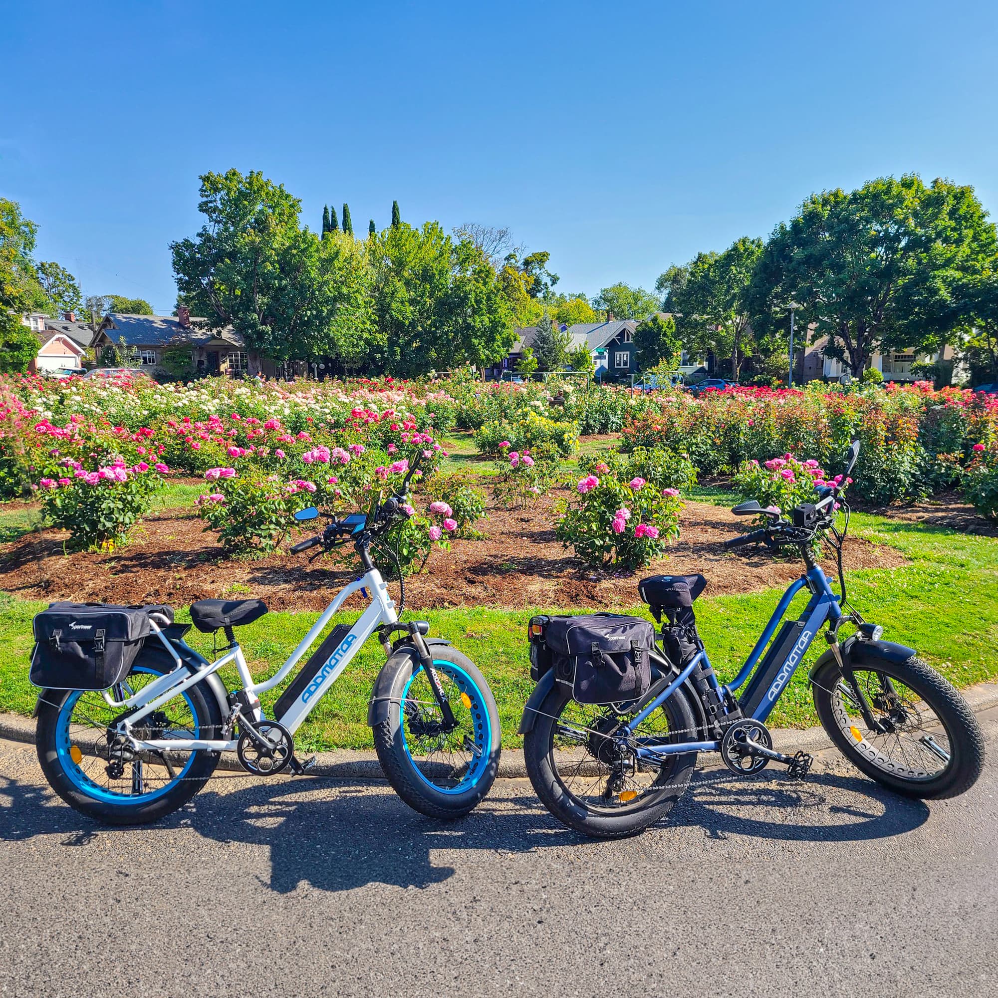Electric Bike