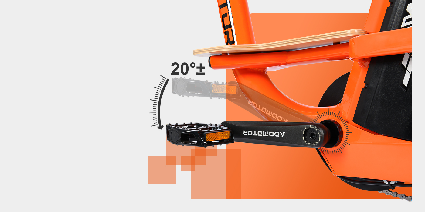 Step-thru Adult 750W Fat Tire Electric Cargo Bike GRAOOTAN