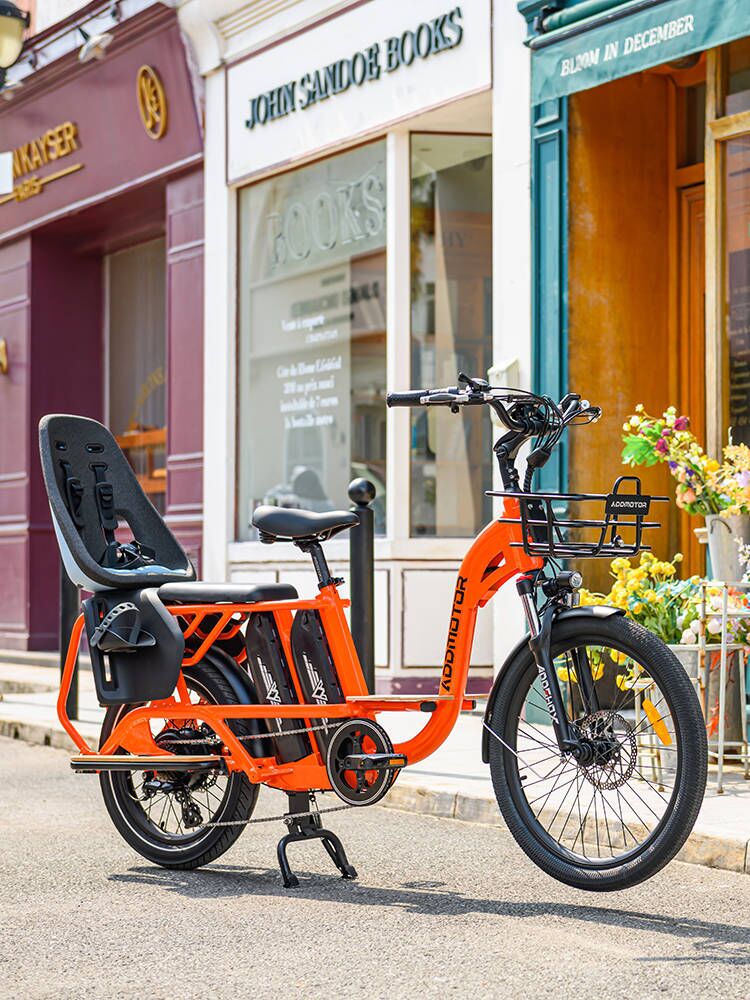 Graoopro Cargo eBike