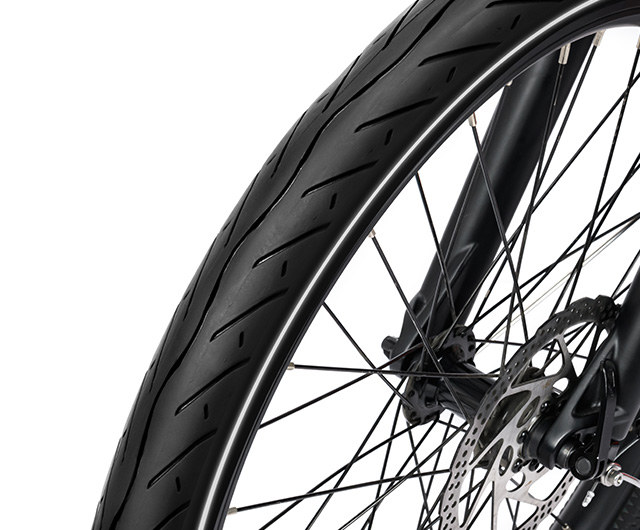 Step-thru Fat Tire Cargo Electric Bike