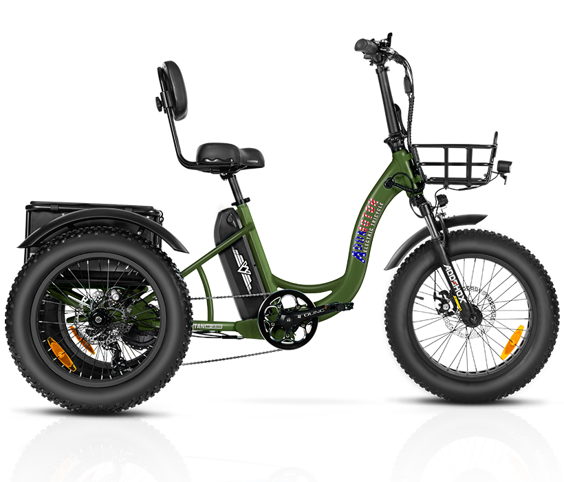 Electric Trike Bike