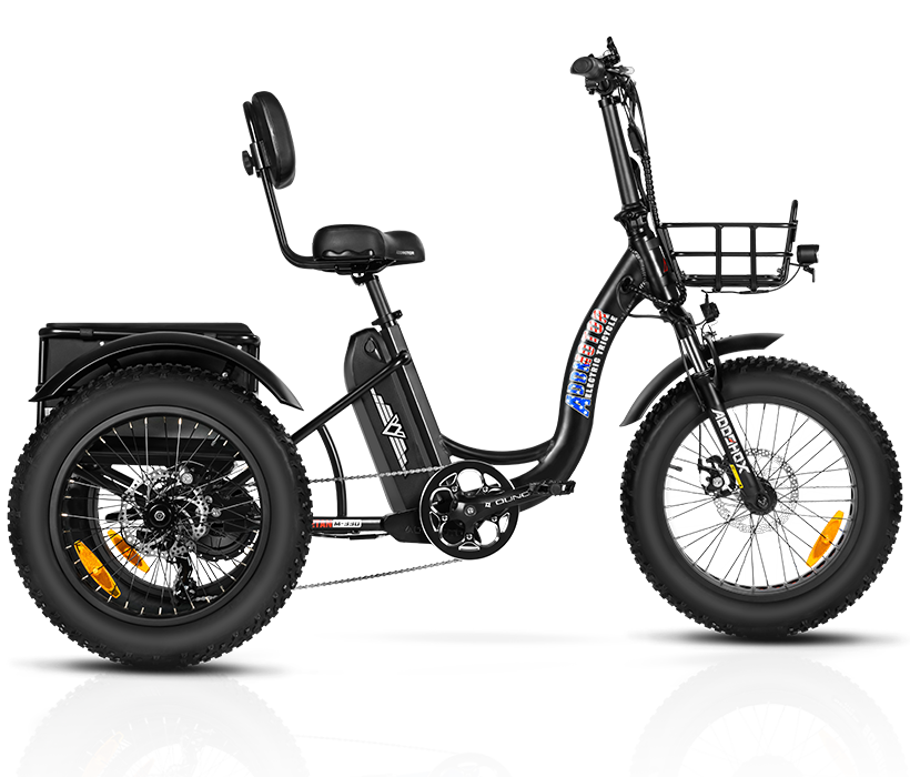 3 Wheel Electric Bike