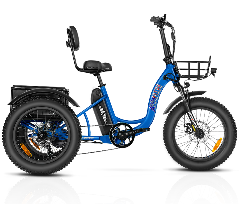 Electric Trike for Sale