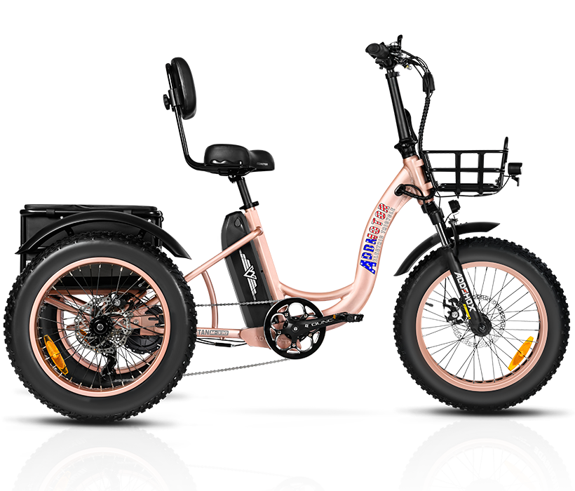 Addmotor Electric Tricycle