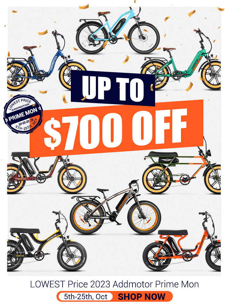 ebike tricycle price
