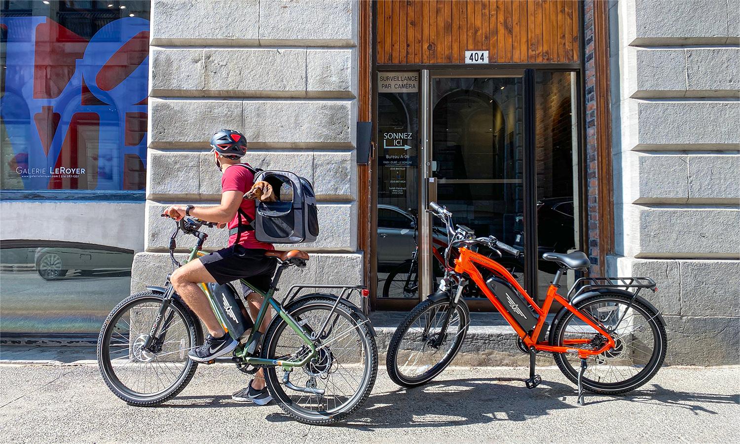 citypro E-43 commuter ebike