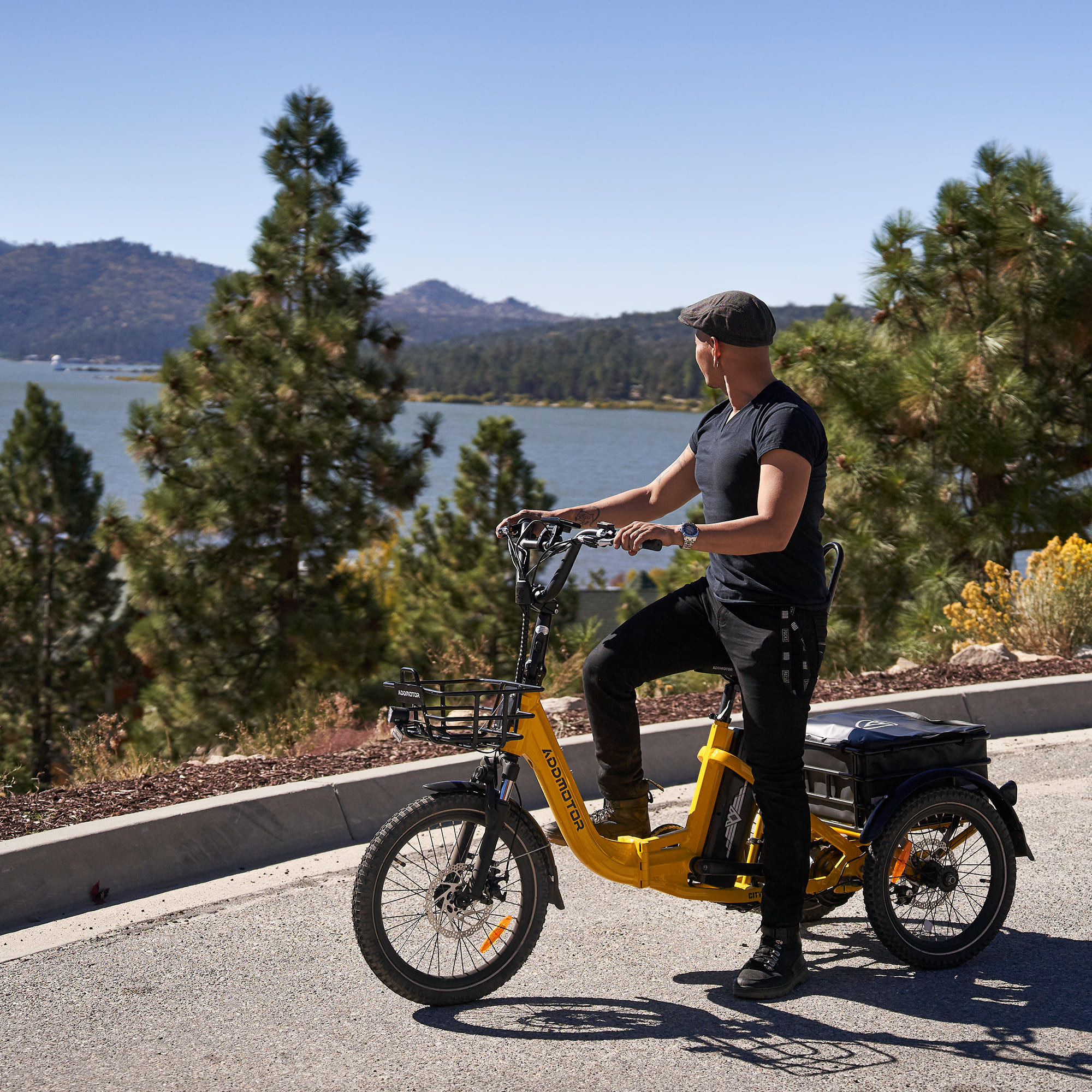 Citytri E-310 Battery Care