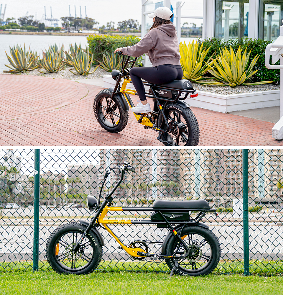 cruiser chopptan m70 ebike with model