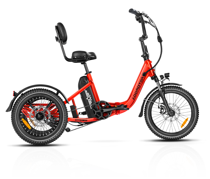 CITYTRI E 310 Electric Trike