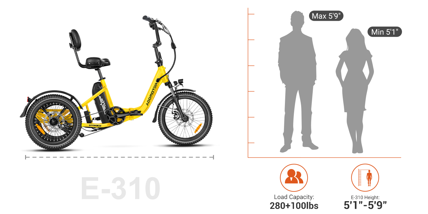 310 size