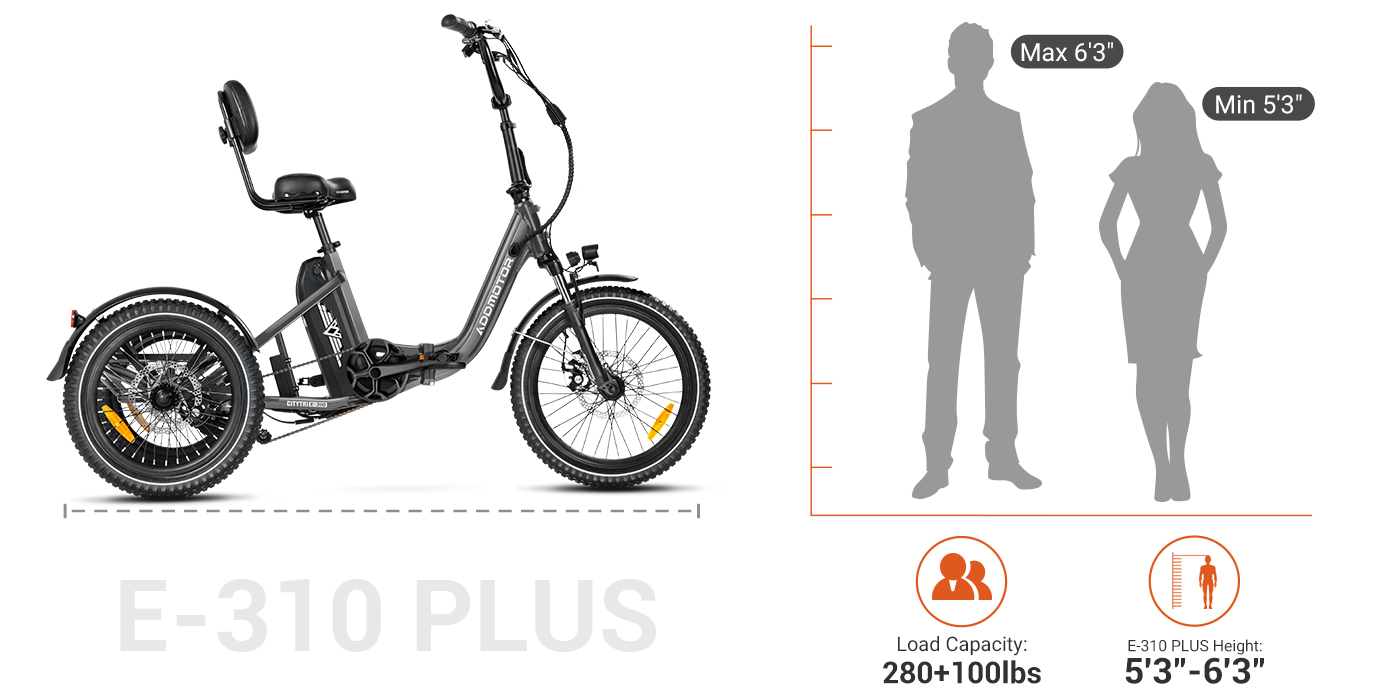 310plus size