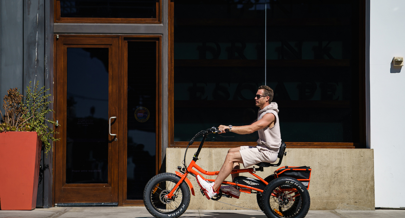 addmotor m-360 fat tire electric trike