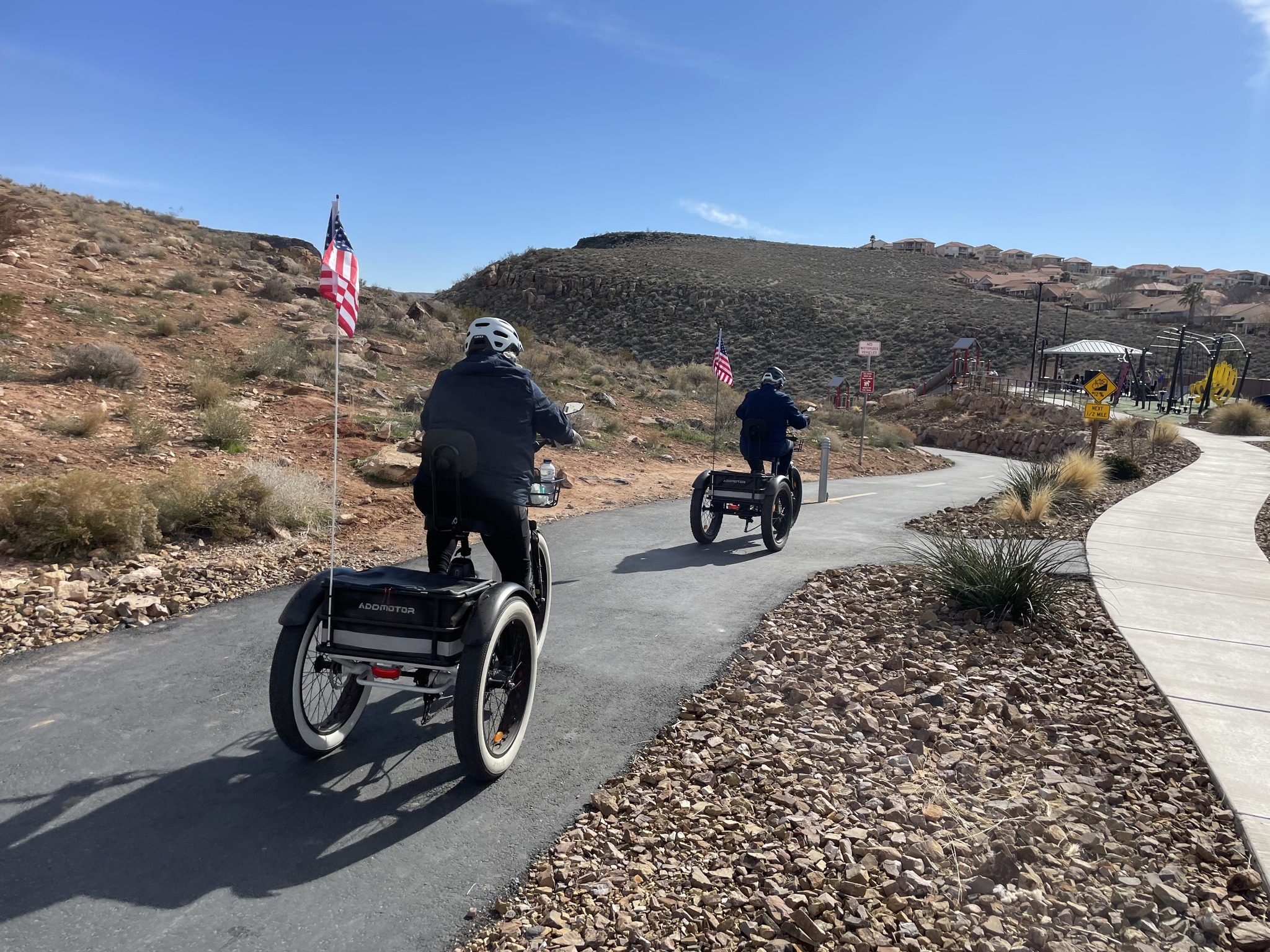 electric trike for seniors