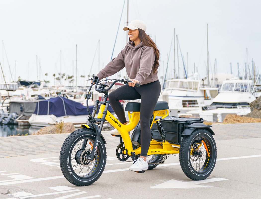 herotri electric trike for two adults