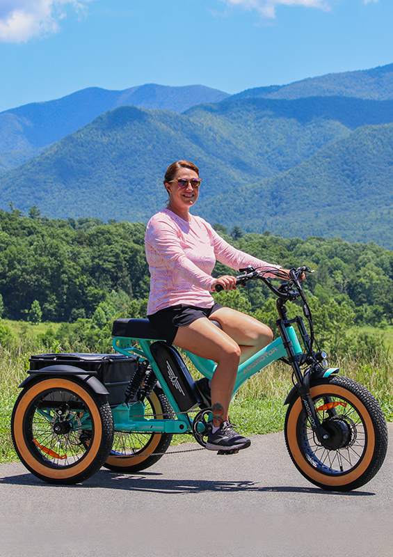 herotri 365x electric trike