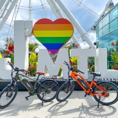 Citypro E-43 eBike