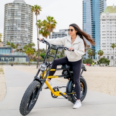 m-70 ebike for woman