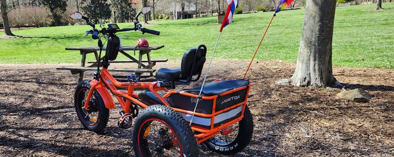 electric trike for seniors