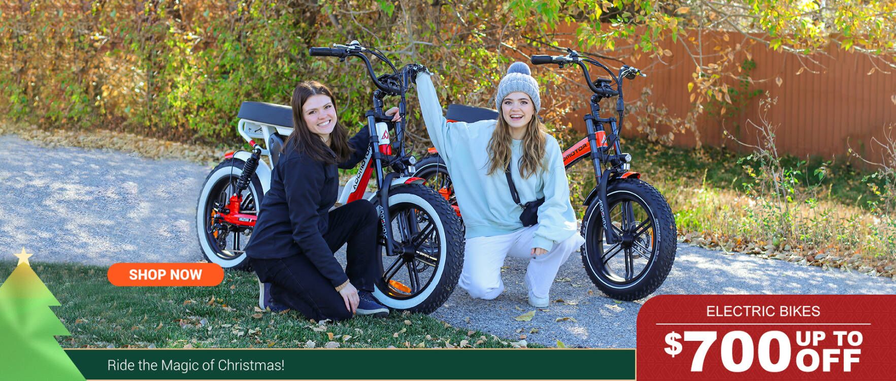 promo-ebikes