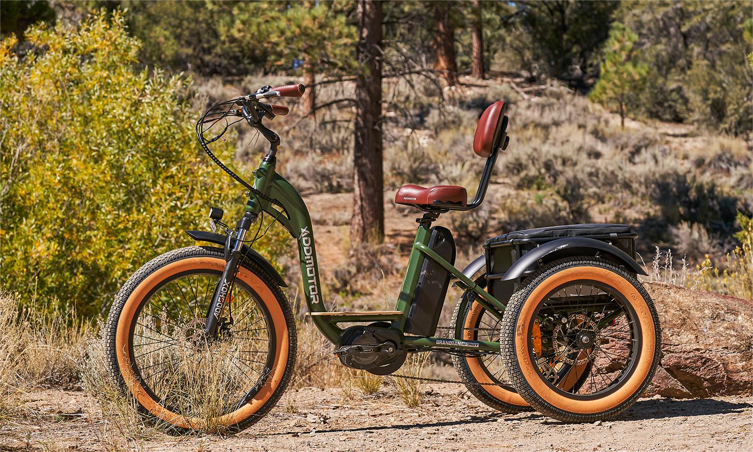 fat tire etrike