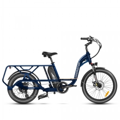Graoopro Cargo eBike