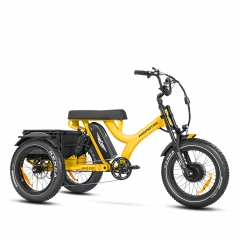 right front of herotri M-365x etrike in yellow