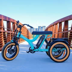 m-365x etrike blue