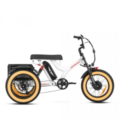 Best Electric Trike M-365X