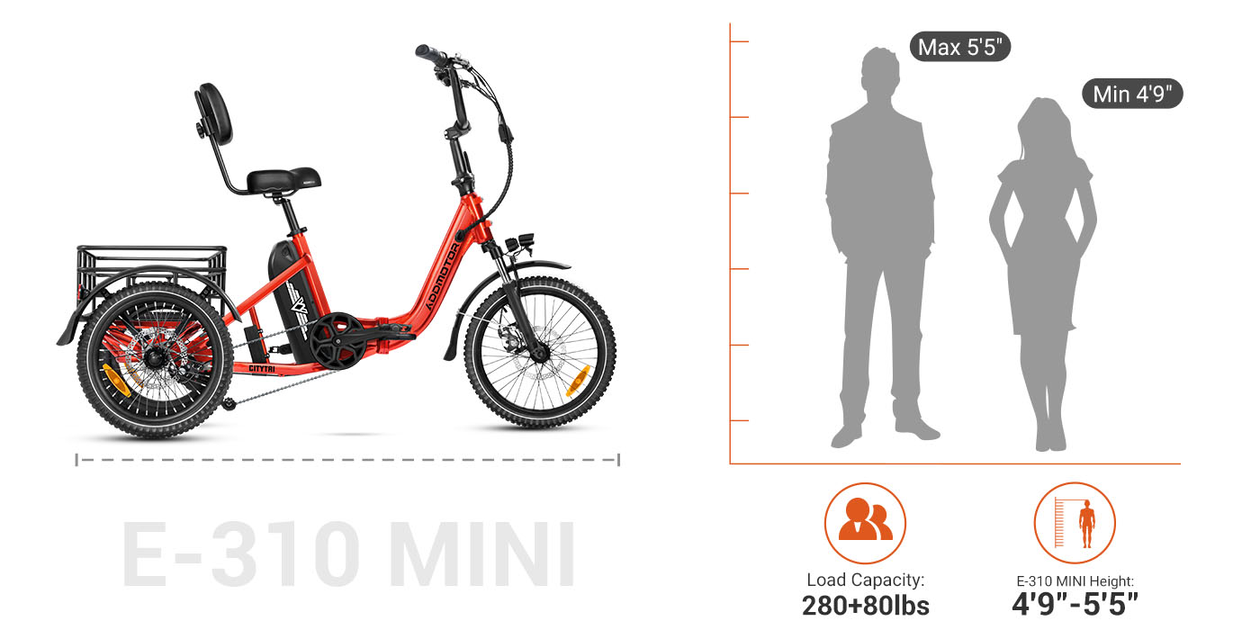 310 size