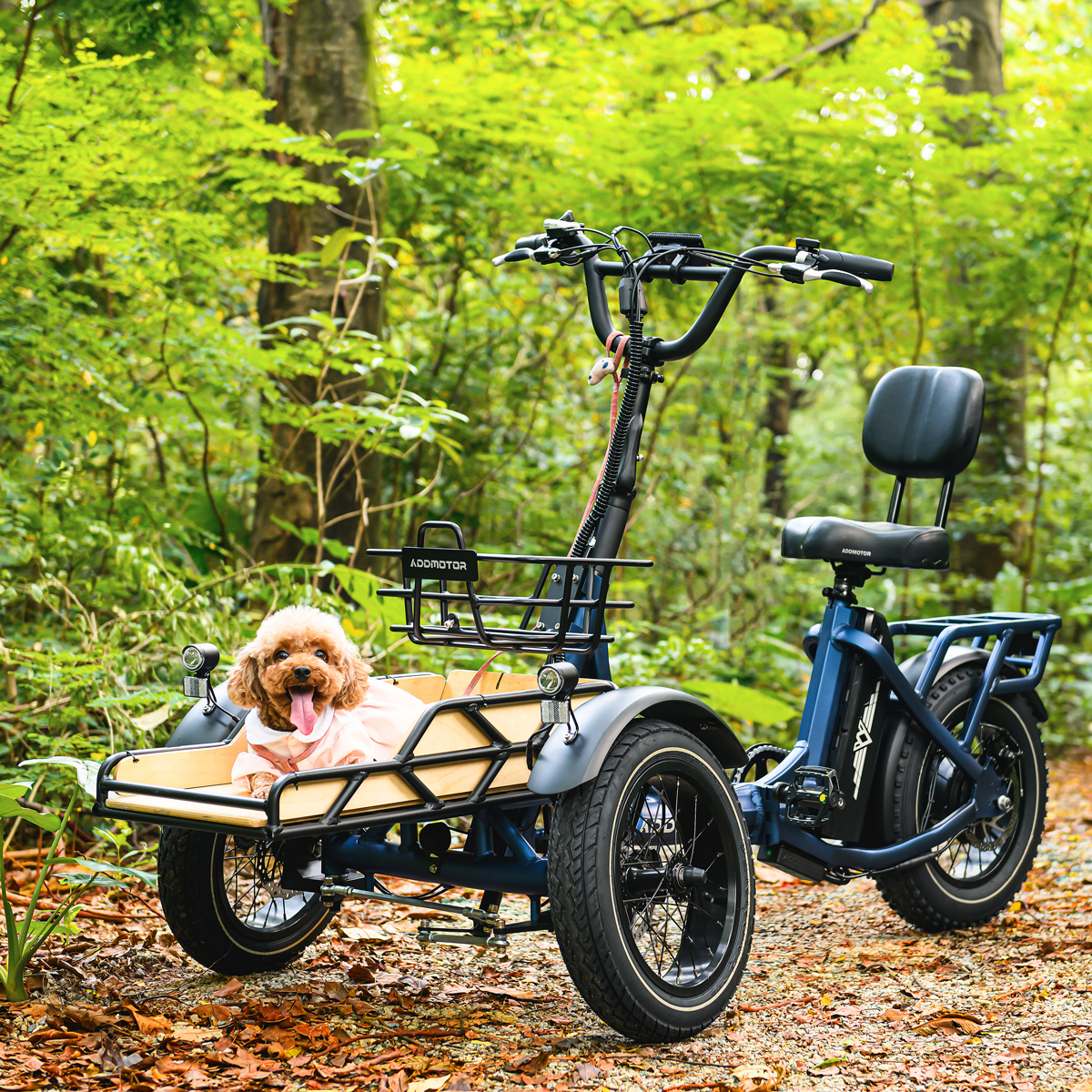 Adventure Awaits: Exploring with Pets on Addmotor SpytanX Reverse Trike