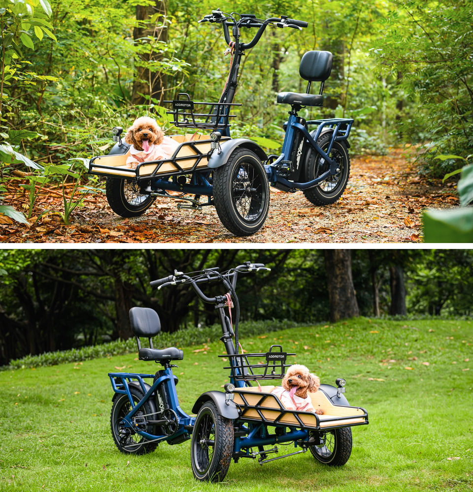 Enjoyable spytan electric trike